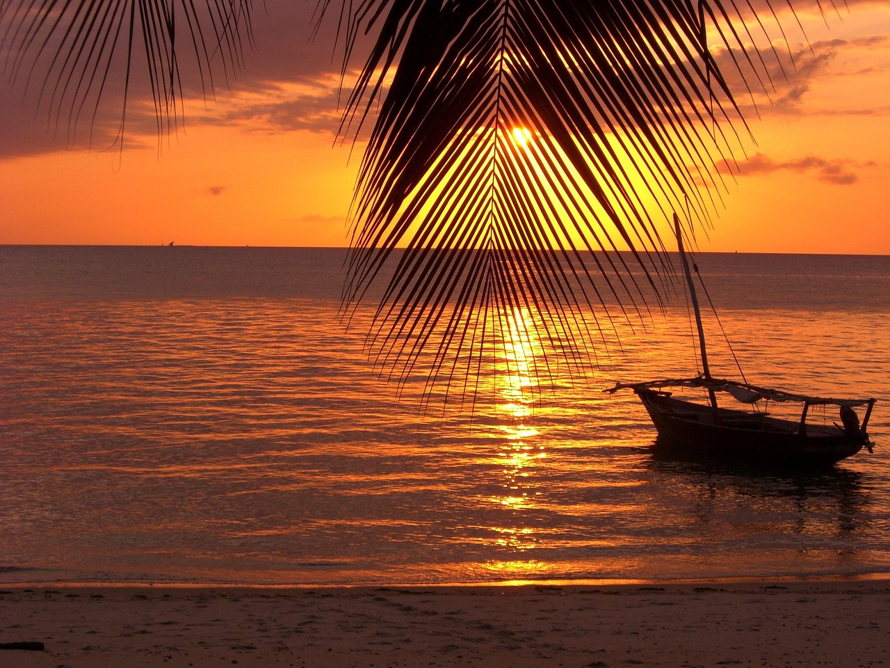 Zanzibar coastline with traditional dhow boats and white sand