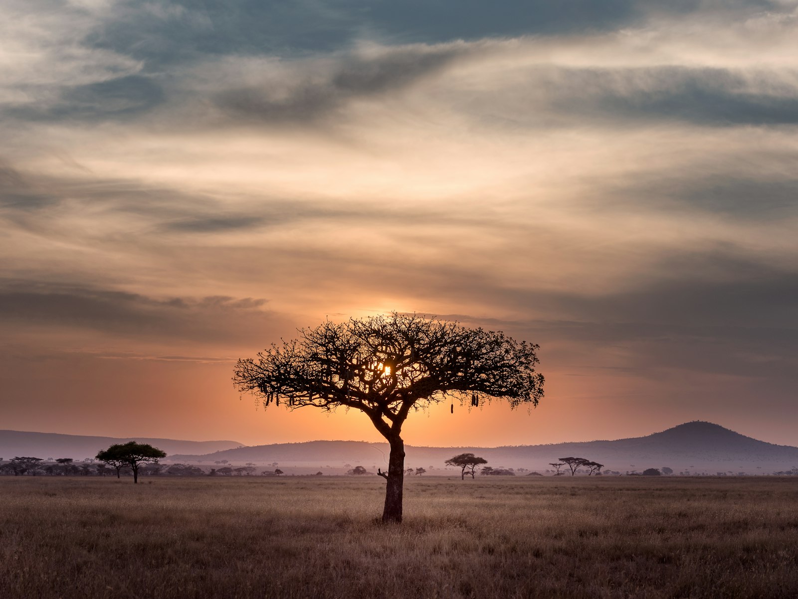 WHICH ARE THE MOST POPULAR AFRICAN COUNTRIES TO VISIT?